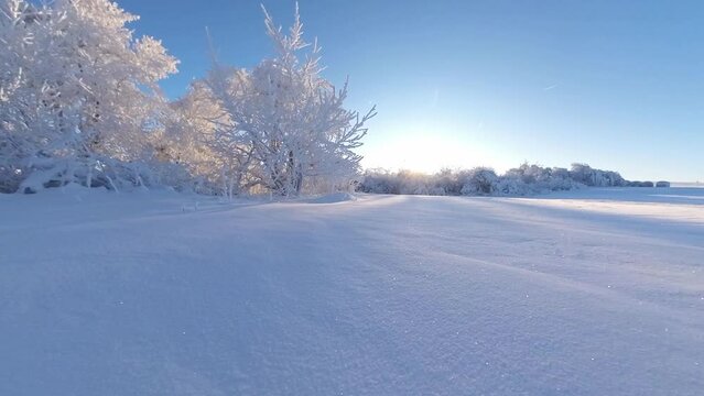 zauberhaft vereiste sonnige Winterlandschaft im Morgenlicht, Winterwunderland, Winterzauber, vereiste B&auml;ume, Schnee, K&auml;lte, Raureif, Natur, Idylle, Frost 
