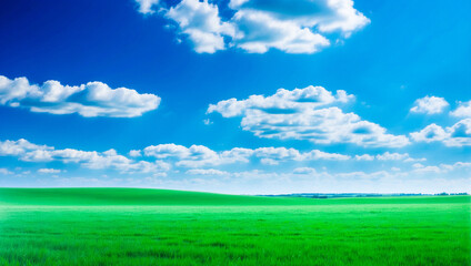 Fototapeta premium meadow, grassland, landscape,agriculture,lawn, field, sky, cloud, flower, nature, spring,Background image of a vast green field under a bright blue sky. bright green grass Receives light well The ba