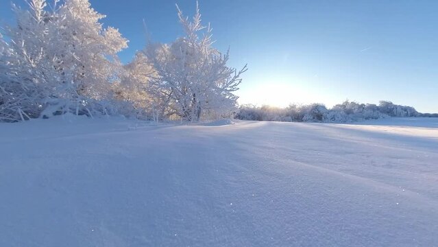 zauberhaft vereiste sonnige Winterlandschaft im Morgenlicht, Winterwunderland, Winterzauber, vereiste B&auml;ume, Schnee, K&auml;lte, Raureif, Natur, Idylle, Frost 

