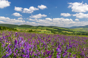 Spring landscape in White Carpathians, Southern Moravia, Czech Republic