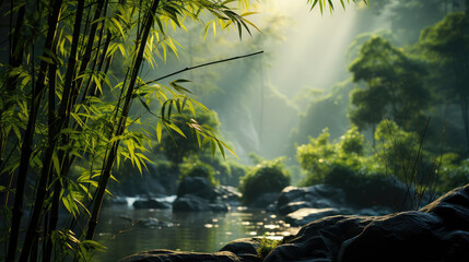Rainforest background; Verdant rainforest canopy with sunlight filtering through dense bamboo leaves. A lush, vibrant ecosystem teeming with biodiversity and natural beauty.