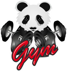Bodybuilder Panda Bär mit Kurzhantel mit Gym Schriftzug