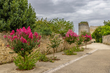 Chateau de Gencay ruins (Du Guesclin), department Vienne, Aquitaine, France