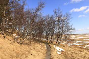 Dverghamrar is a group of basalt organs of Iceland located in the south of the country, northeast of the locality of Kirkjubæjarklaustur