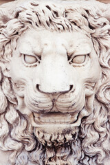 Sculpture of a medieval lion head of stone (Italy) - frontal view