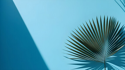 Palm leaf on a blue background, top view, background for presentation.