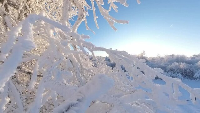 zauberhaft vereiste sonnige Winterlandschaft im Morgenlicht, Winterwunderland, Winterzauber, vereiste B&auml;ume, Schnee, K&auml;lte, Raureif, Natur, Idylle, Frost 
