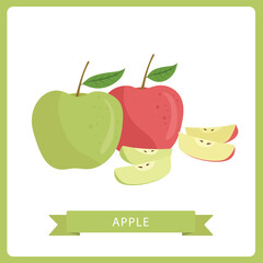 Apple whole and sliced vector illustration isolated on white background.