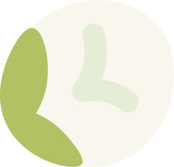 Camellia sinensis, the tea plant budding flower, flower bud