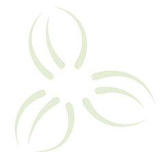 Camellia sinensis, the tea plant flower petal