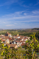 Castle and town with vineyard in Barolo, Langhe region, Piedmont, Italy