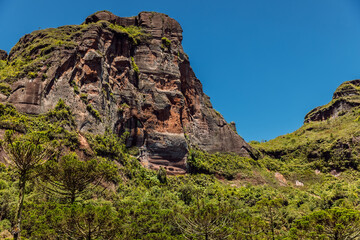 Fototapeta na wymiar Scenic Morro dos Cabritos rock or canyon with araucaria trees on sunny day in Brazil