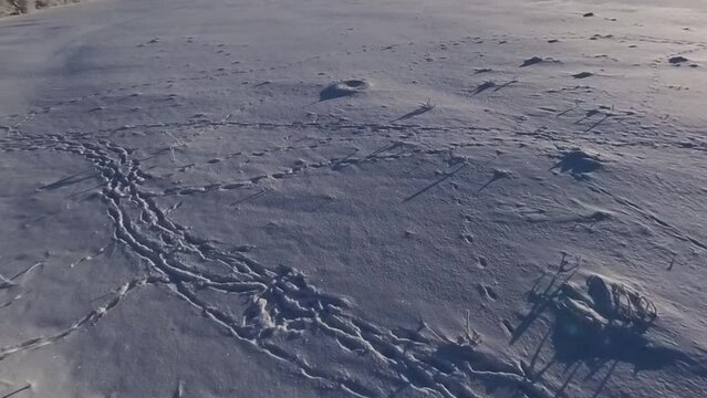zauberhaft vereiste sonnige Winterlandschaft im Morgenlicht, Winterwunderland, Winterzauber, vereiste B&auml;ume, Schnee, K&auml;lte, Raureif, Natur, Idylle, Frost 

