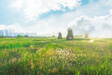 windmills green field blue sky city skyline urban contrast sustainability renewable energy grassland nature architecture tranquility  tourism outdoor bright day environmentalism harmony Korea