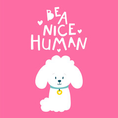 Cute dog poodle. Friendly card with a slogan. Be a nice human. Vector illustration of a white animal on a bright pink background in simple cartoon hand-drawn style. Perfect for print baby design
