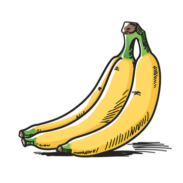 Marker Banana Isolated Hand Draw.