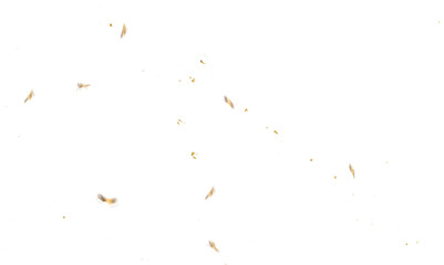 Doted and confetti golden glitter on transparent background. Shiny glittering dust. Gold glitter sparkle confetti that floats down falling