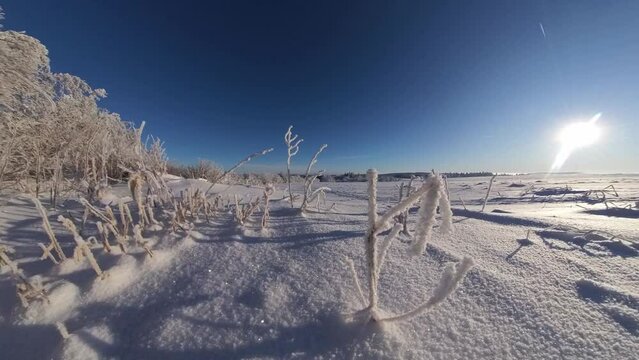 zauberhaft vereiste sonnige Winterlandschaft im Morgenlicht, Winterwunderland, Winterzauber, vereiste B&auml;ume, Schnee, K&auml;lte, Raureif, Natur, Idylle, Frost 

