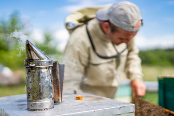 Beekeeper is working with smoker on the apiary