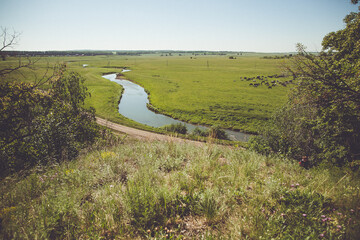 Fototapeta premium Tranquil river flowing through lush green valley with grazing cows and forest under blue sky