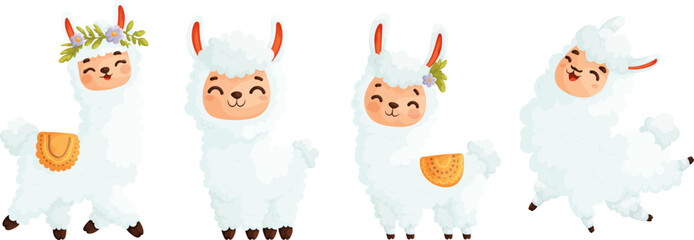Set of four cute llamas. White happy and cheerful llama in different poses. Cartoon vector style.