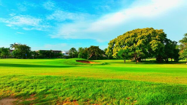 Panoramic view of the golf course with green grass and trees. Beautiful evening landscape of a golf club with rich green turf. Sand bunkers on a beautiful golf course.