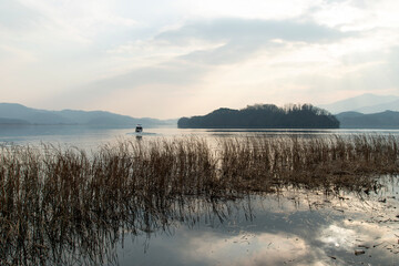 View of the still lake with swaying reeds in the autumn mountain