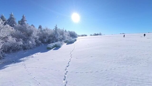 zauberhaft vereiste sonnige Winterlandschaft im Morgenlicht, Winterwunderland, Winterzauber, vereiste B&auml;ume, Schnee, K&auml;lte, Raureif, Natur, Idylle, Frost 
