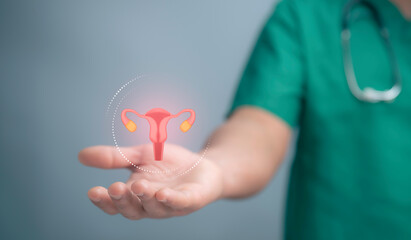 Medical worker holding virtual uterus reproductive system. Woman health concept, PCOS, ovary...
