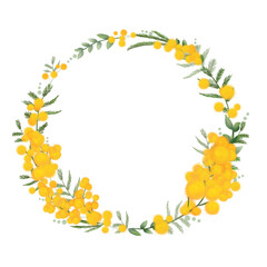 Elegant wreath from mimosa bouquets, branches and leaves of mimosa - illustration, round composition. Transparent background. PNG.