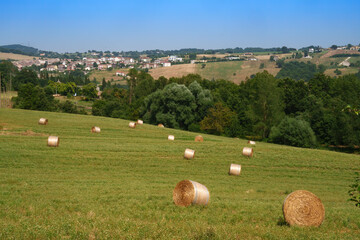 Country landscape near Gildone and Jelsi, Molise, Italy