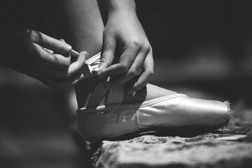 Pointe Ballet Slipper in Black & White © Nic