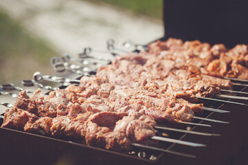 Delicious beef shashlik skewers on the grill for a summer barbecue or party
