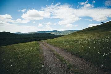 Fototapeta na wymiar Scenic Countryside Road Through Lush Green Hill with Wildflowers and Blue Sky