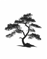 Silhouette of a Korean Pine Tree, Isolated on a White Background. A Distinctive and Elegant Image, Ideal for Various Design Applications