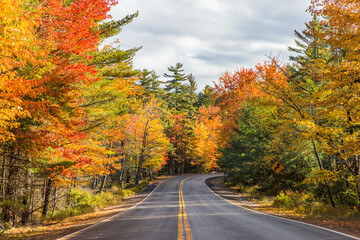 Maine Roadway-Autumn