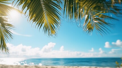 Fototapeta na wymiar Beautiful tropical beach with green palm leaf, clouds on a sunny day.