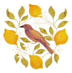 Wreath with lemons, bright bird, leaves and flowers, isolated background.