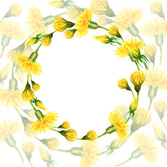 watercolor wreath with summer and spring yellow dandelion, hand draw summer field flowers, buds and herbs, sketch of spring yellow flowers on transparent yellow dandelion background