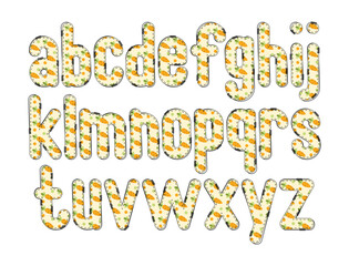 Fototapeta premium Versatile Collection of Carrot Easter Alphabet Letters for Various Uses