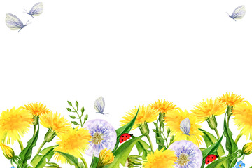 watercolor horizontal frame with summer field flowers, hand draw illustration of yellow dandelions and blow balls, leaves, herbs, butterfly on white background
