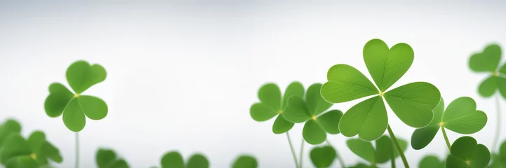 Foto op Plexiglas Background with clovers, St. Patrick's Day background. Copy space banner © Александр Ткачук