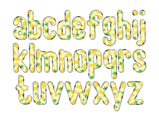Versatile Collection of Fresh Carrot Alphabet Letters for Various Uses
