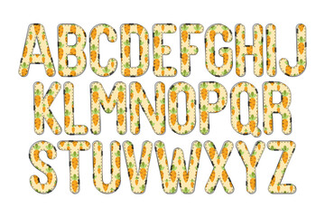 Versatile Collection of Cute Carrot Alphabet Letters for Various Uses