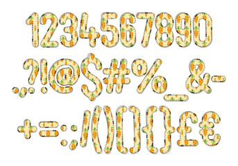 Versatile Collection of Cute Carrot Numbers and Punctuation for Various Uses