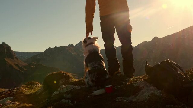 A man hiker contemplates the landscape from a mountain peak while petting and playing with his border collie dog. outdoor activities with pet.