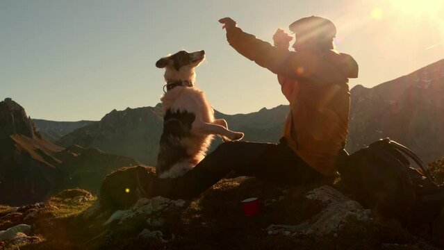 Hiker man sitting on the mountain with his border collie dog. Dog doing tricks. Dog owner sharing his food with his pet.