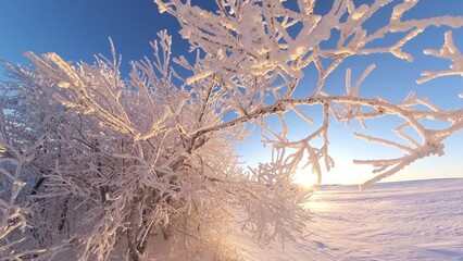 zauberhaft vereiste sonnige Winterlandschaft im Morgenlicht, Winterwunderland, Winterzauber,...