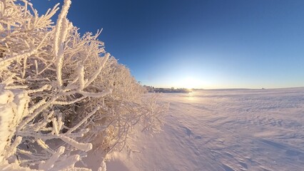 zauberhaft vereiste sonnige Winterlandschaft im Morgenlicht, Winterwunderland, Winterzauber, vereiste Bäume, Schnee, Kälte, Raureif, Natur, Idylle, Frost 