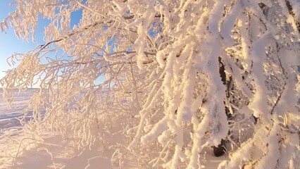 zauberhaft vereiste sonnige Winterlandschaft im Morgenlicht, Winterwunderland, Winterzauber, vereiste Bäume, Schnee, Kälte, Raureif, Natur, Idylle, Frost 